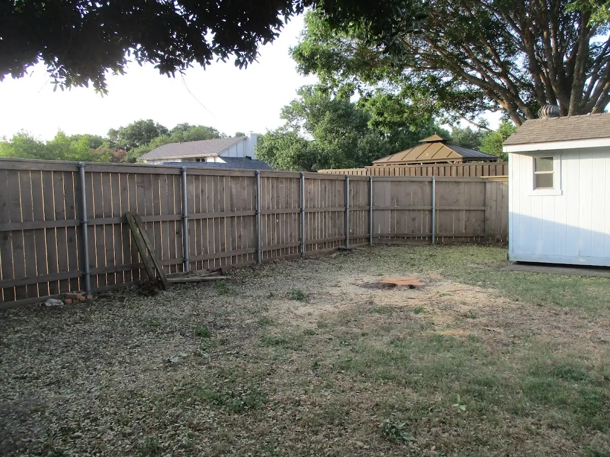 Cleared yard after professional tree removal in Boaz